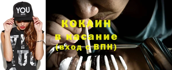 твердый Арсеньев
